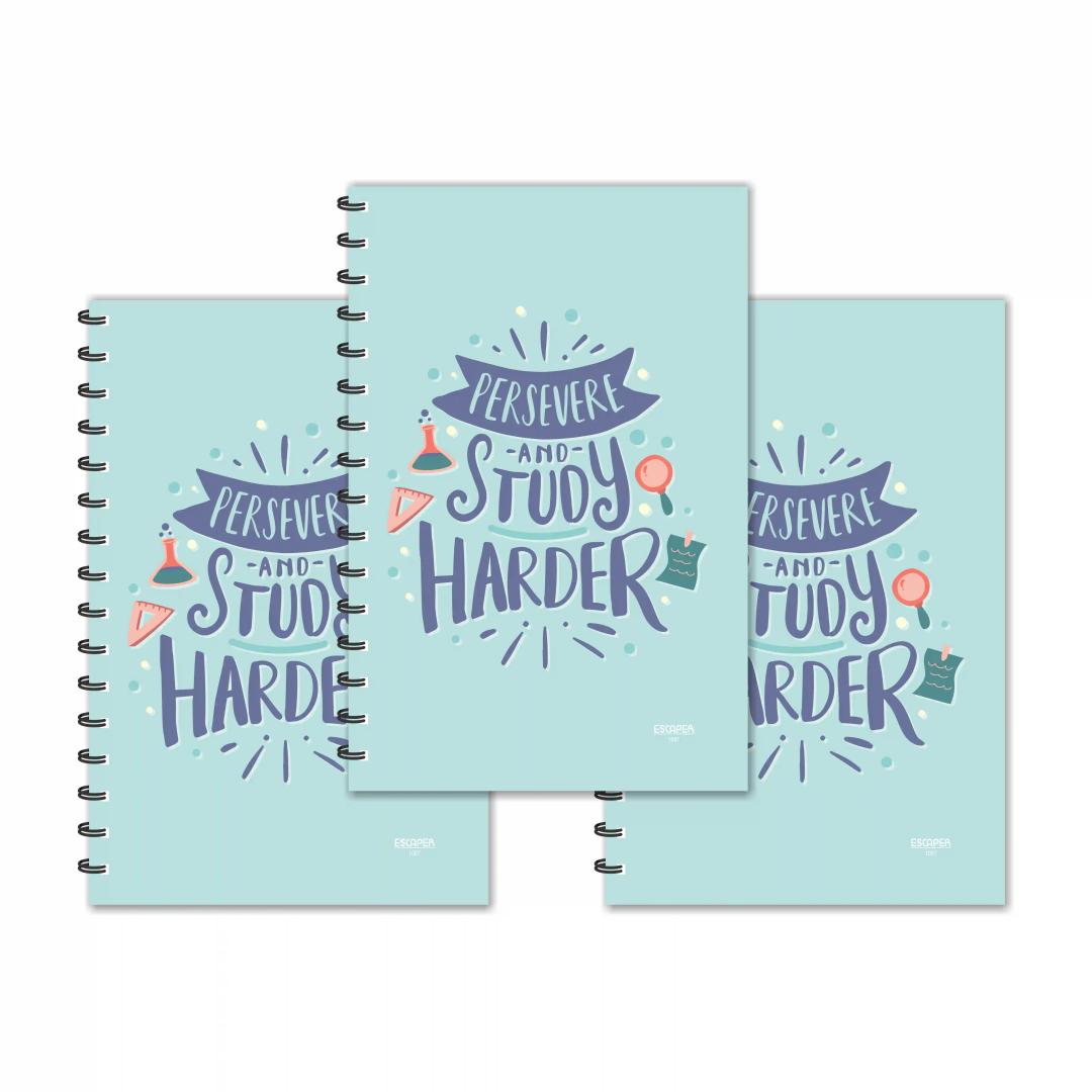 Preserve & Study Harder Designer Ruled Diaries - Pack Of 3