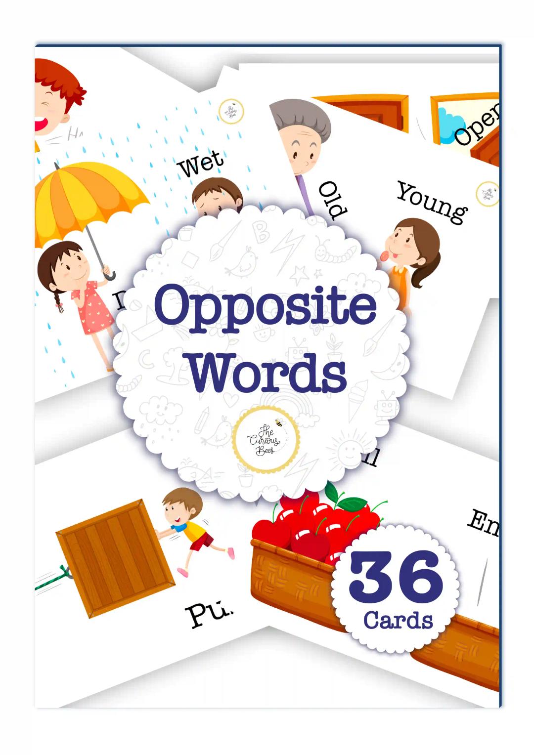 The Curious Bees - Opposite Words Flash Cards