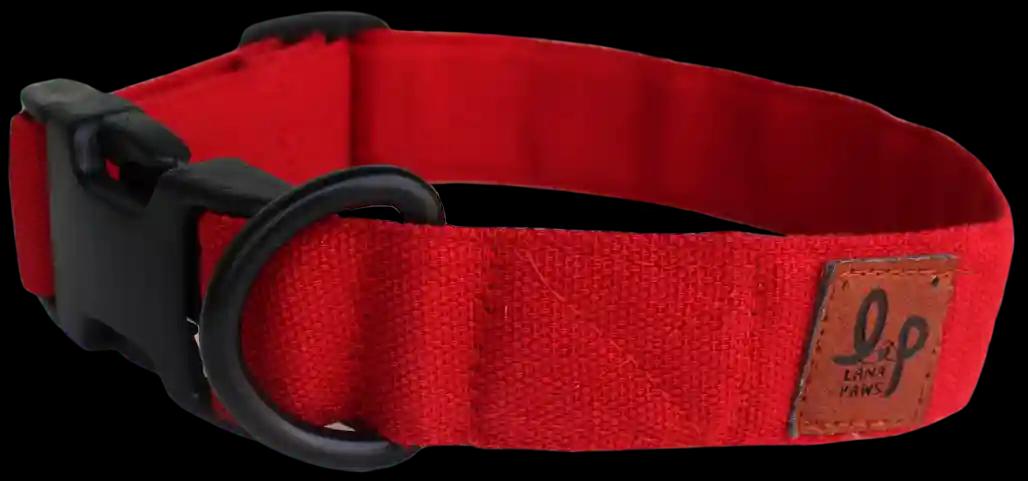 Red Solid Dog Collar Belt - Small