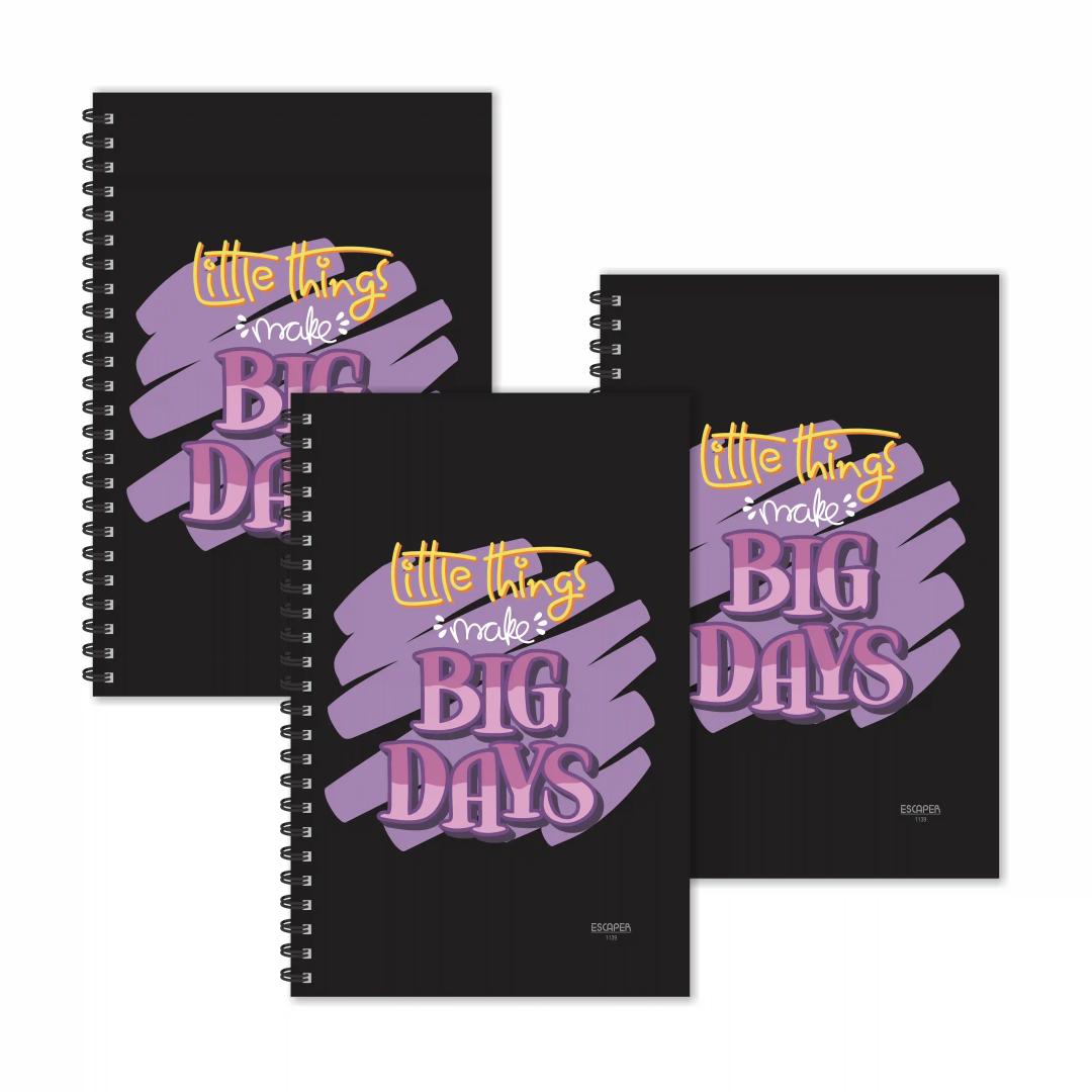 Little Things Make Big Days Motivational Diaries - Pack Of 3