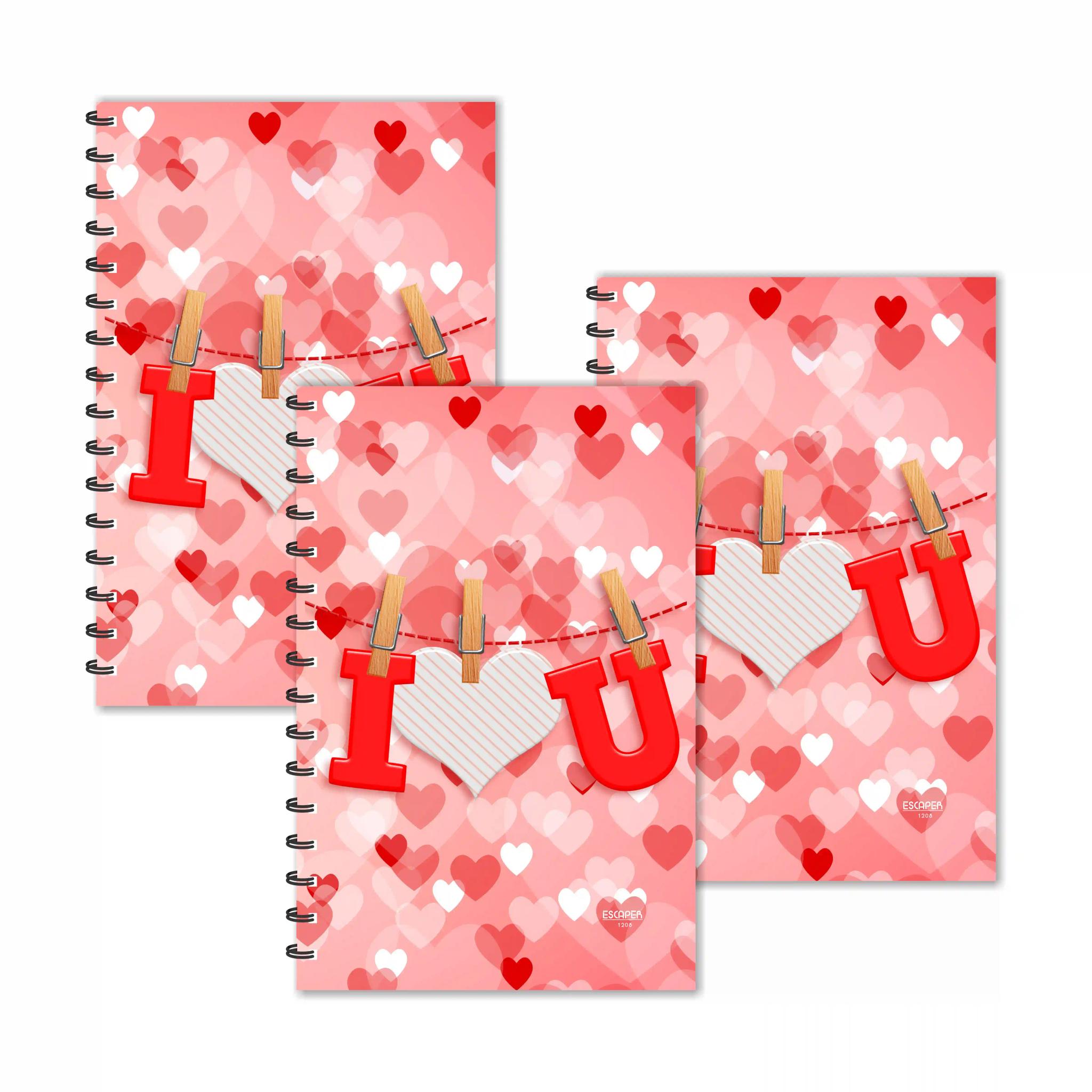 I Love You On Clips Ruled Diaries - Pack Of 3