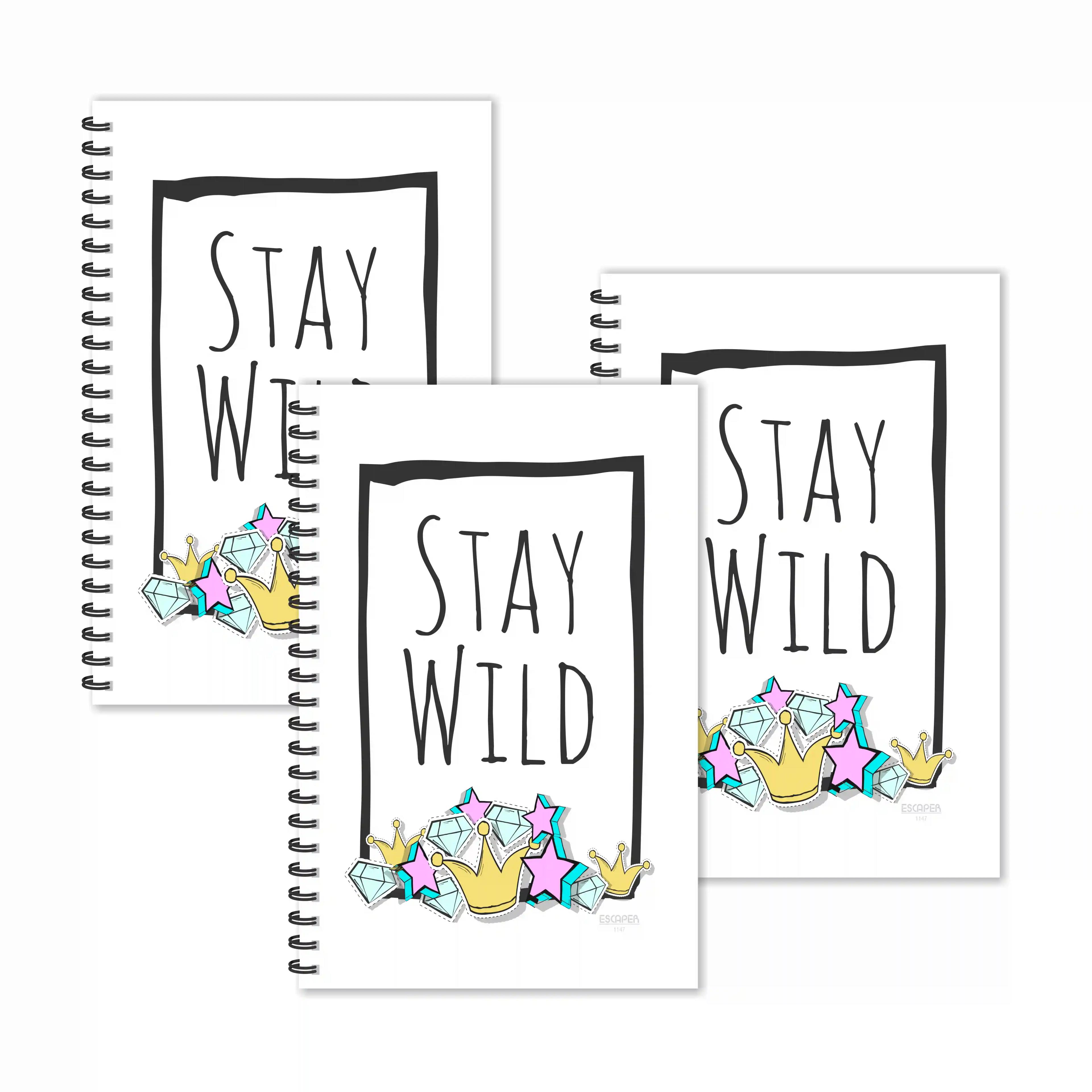 Stay Wild Motivational Diaries - Pack Of 3