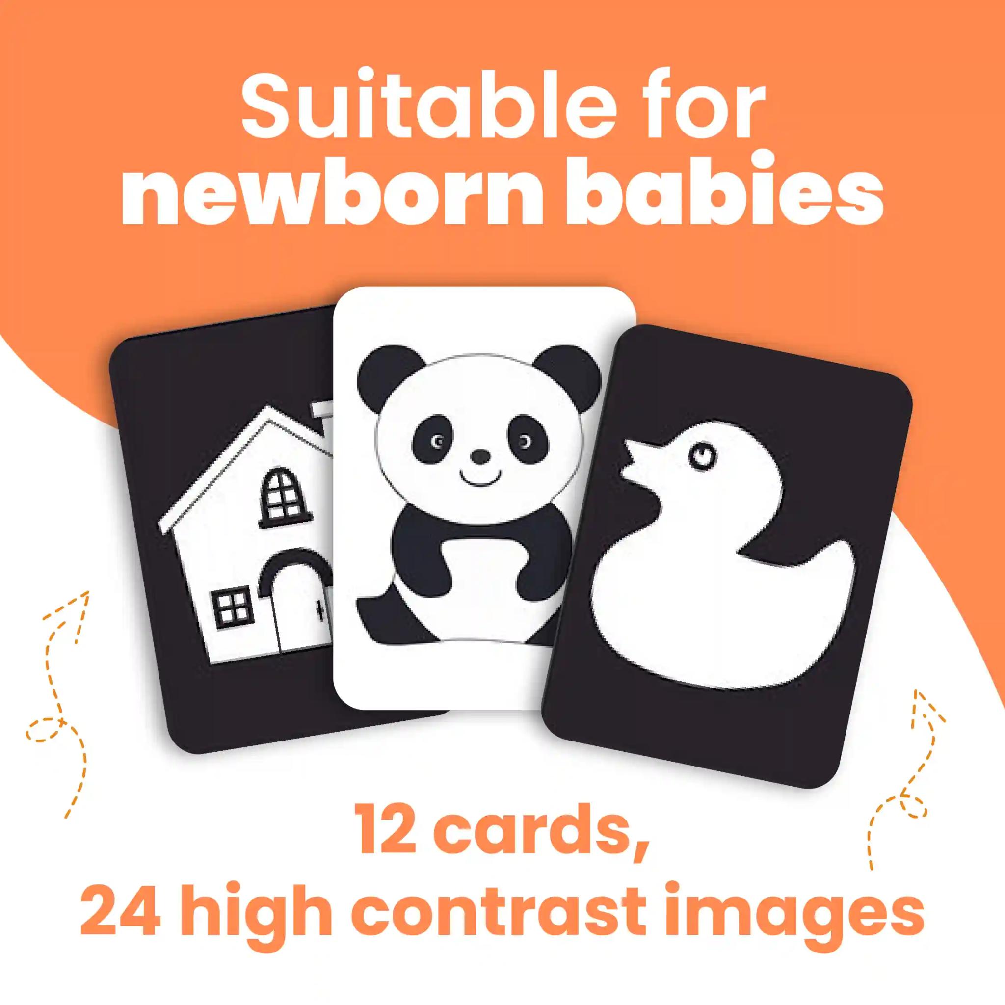 The Curious Bees - Newborn Flashcards