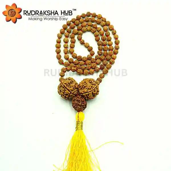 Rudraksha for Anxiety Issues