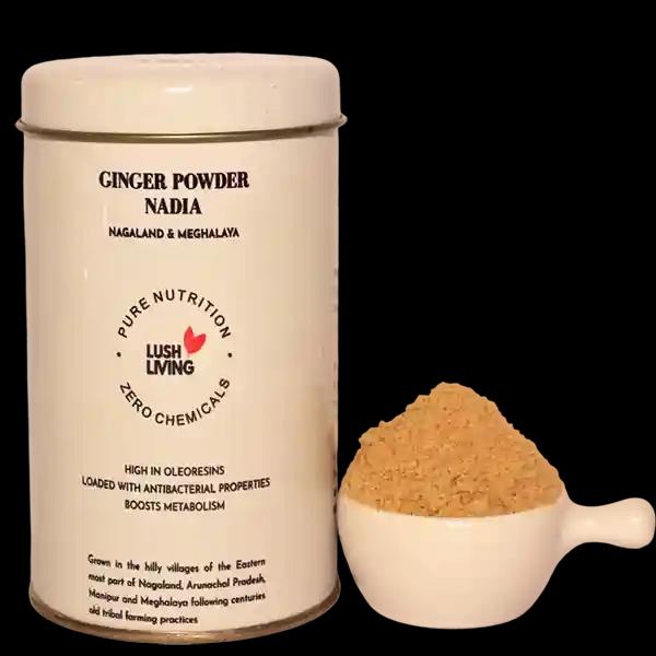 Ginger Powder (Nadia)