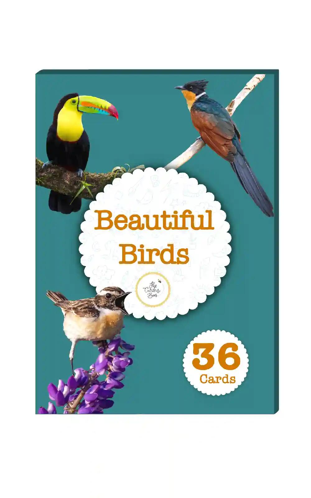 The Curious Bees - Beautiful Birds Flash Cards