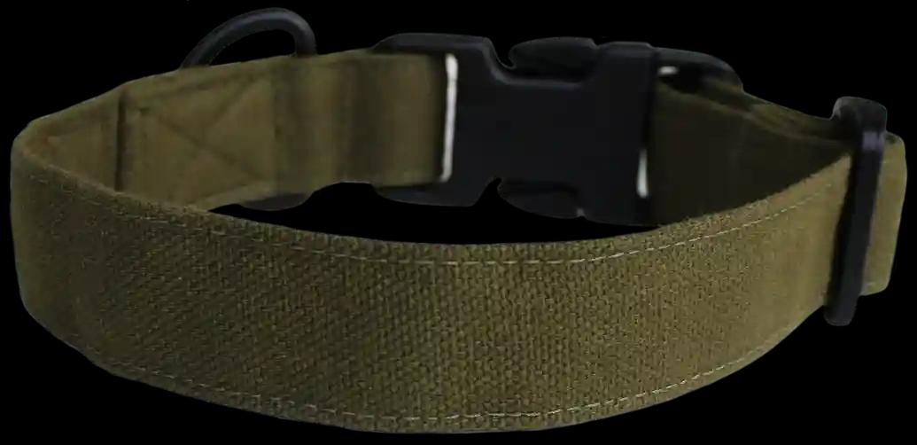 Olive Green Dog Collar Belt - Small