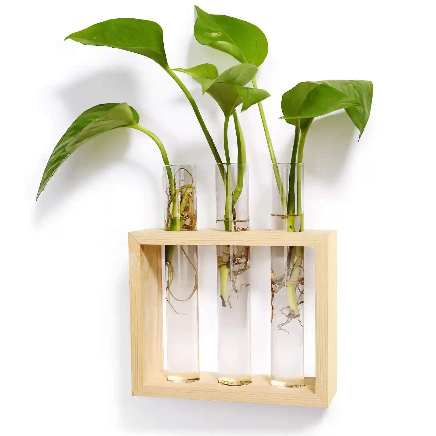 Woodcraft 3 Test Tube Planter for Home Decor