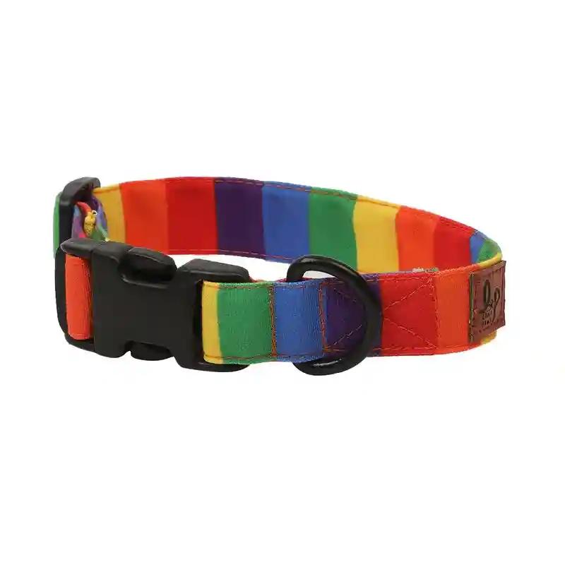 Rainbow Dog Collar Belt - Small