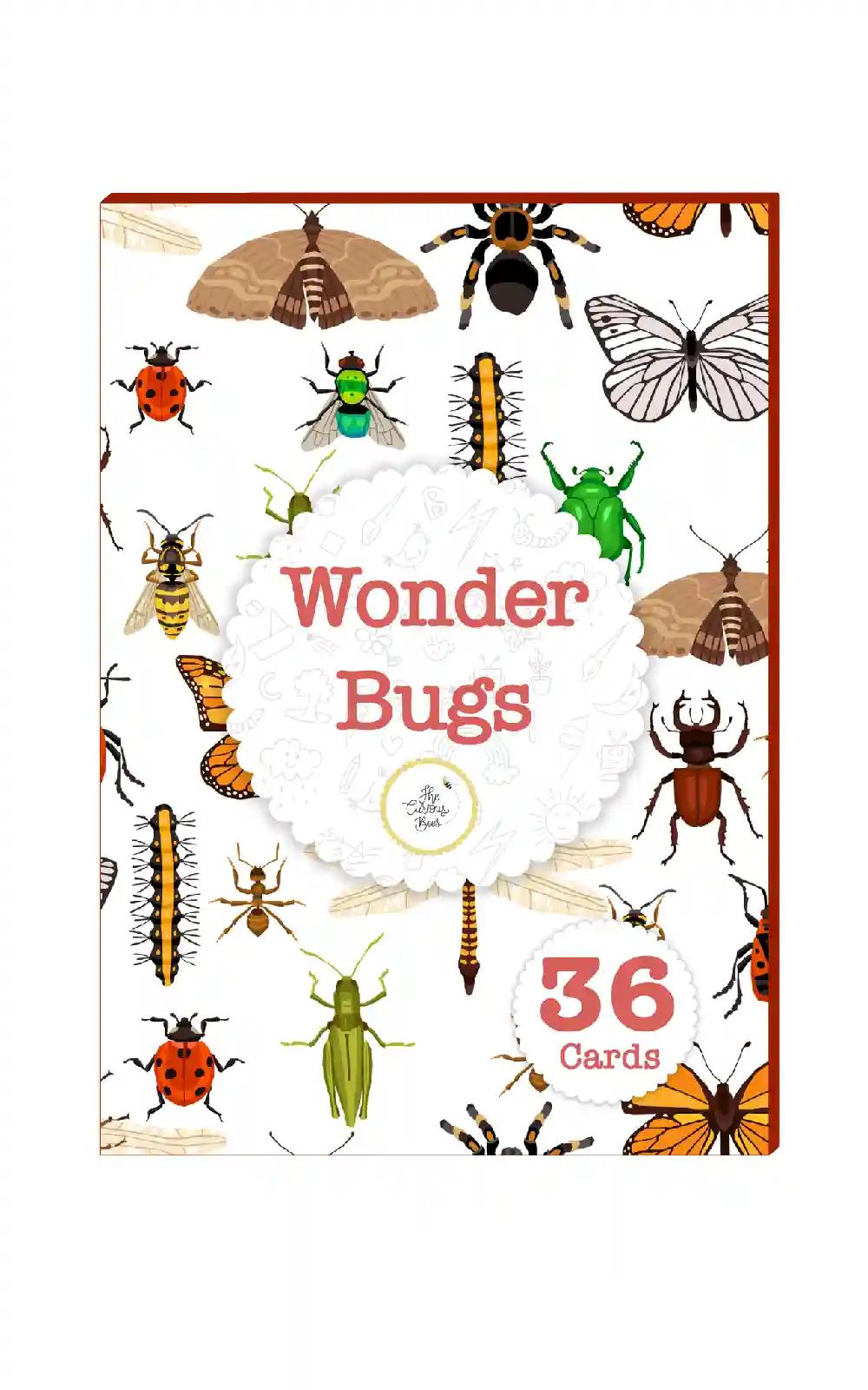 The Curious Bees - Wonder Bugs Flash Cards