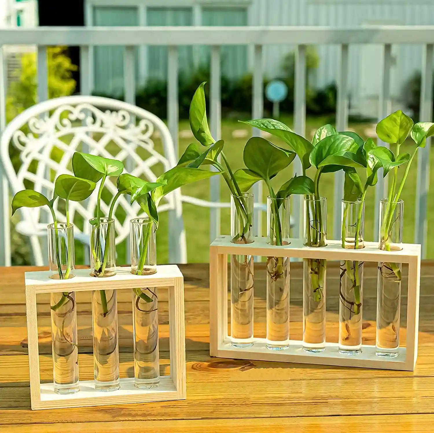 Woodcraft 5 Test Tube Planter for Home Decor