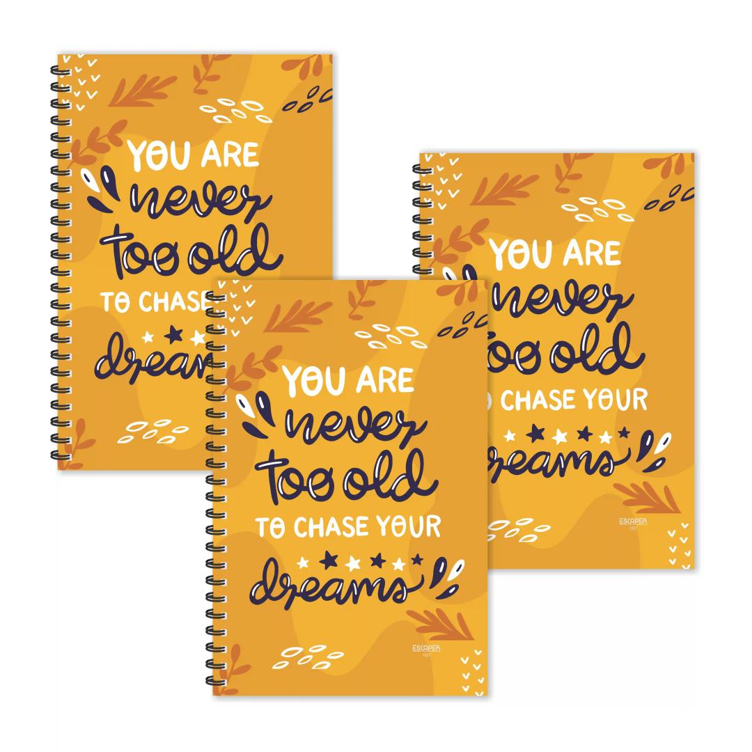 Never Too Old Motivational Ruled Diaries - Pack Of 3